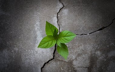 Resilience in a Time of Uncertainty